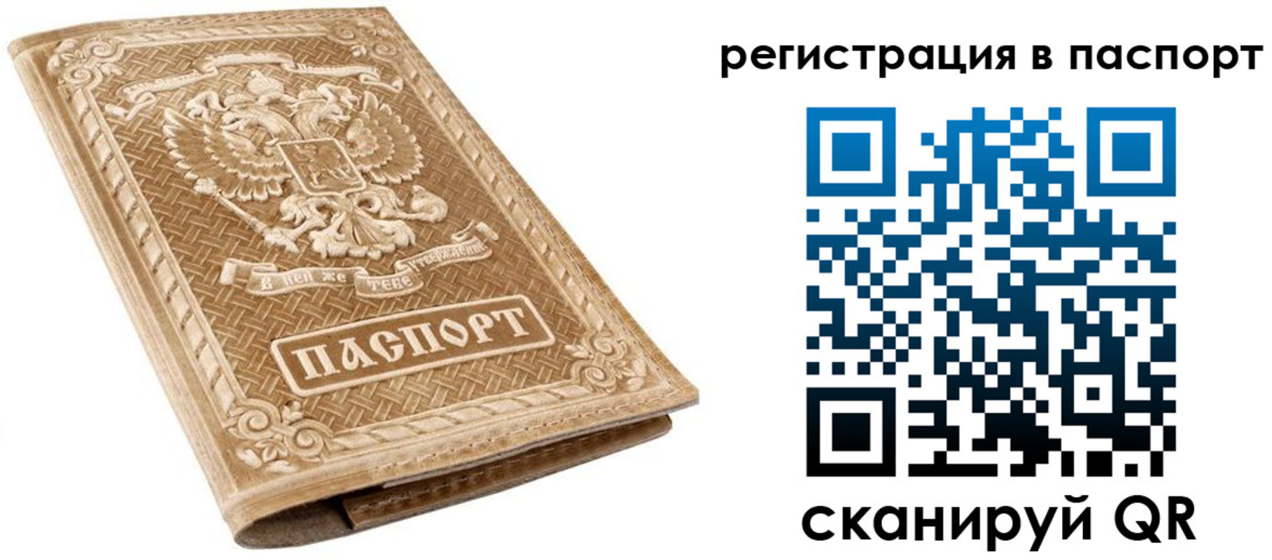 прописка в Борзе